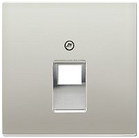 Лицевая панель Jung LS990 metal для 1-м. розетки RJ11/RJ45 сталь картинка